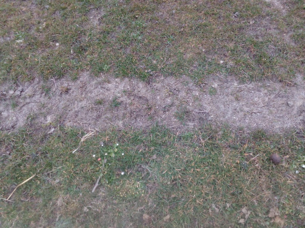 kale plekken in gras