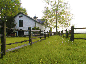 eco stal - paarden - potstal ecologisch biologisch