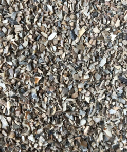 Alternative view of Aegir | Zeeschelpenkalk grit