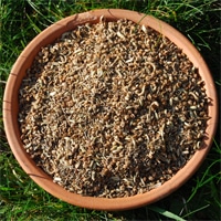 Alternative view of Bio-Ron | Zaaigoed | Weidekruidenmengsel (medicinaal)