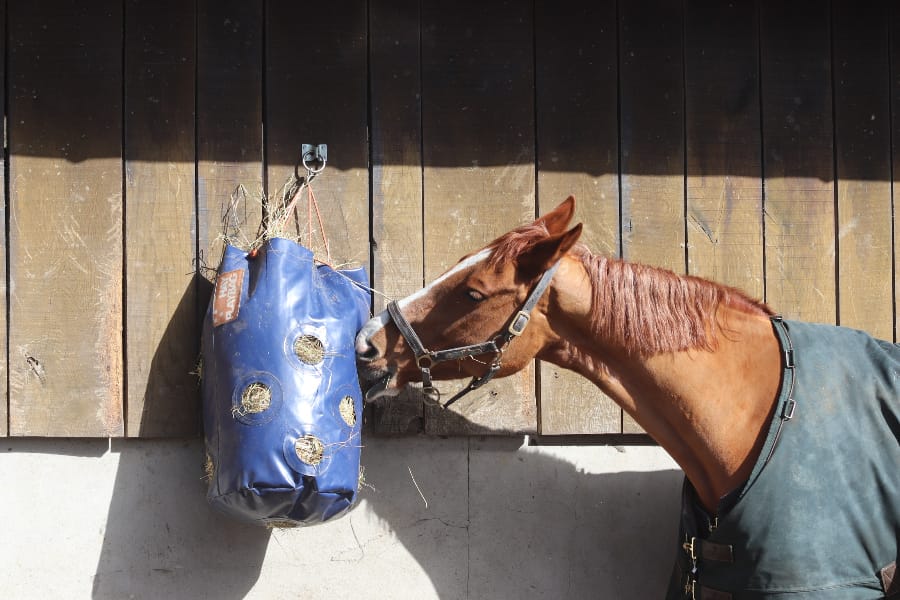 Horse Originals | HayPlay Bag - Afbeelding 2