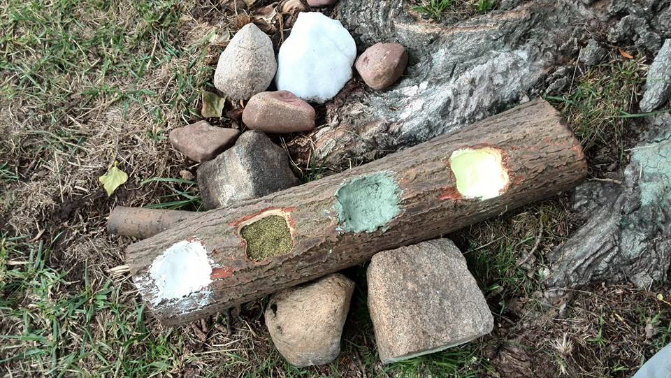 mineralen buffet pure horse zeezout himalaya veendrenk