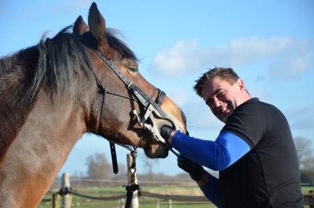 paarden tandarts Huub rietberg voeding