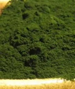 spirulina poeder paard biologisch
