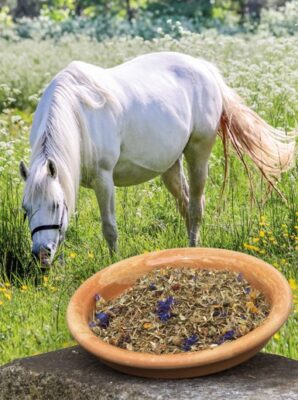 season fit box, zomerkruiden, pure horse, okapi, kruiden voor je paard, gezonde paarden voeding