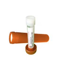 KPU urinetest voor paarden – testkit