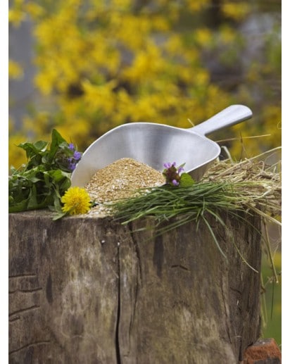 mineraal puur g senior, pure horse, okapi, mineralen