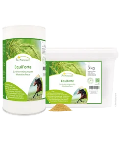 Equiforte, gezondheid, spieropbouw, pure horse