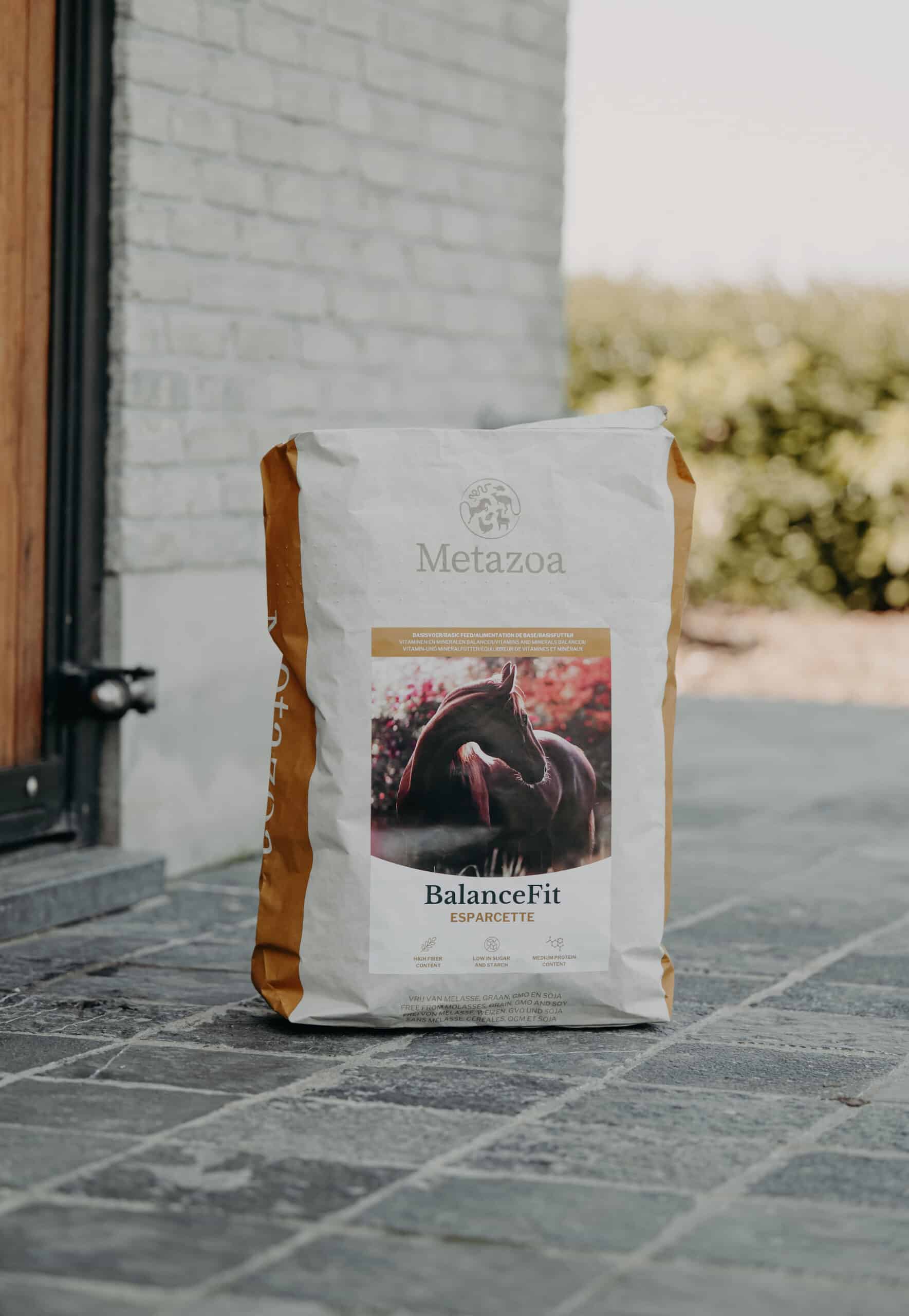 Metazoa | BalanceFit - Afbeelding 5