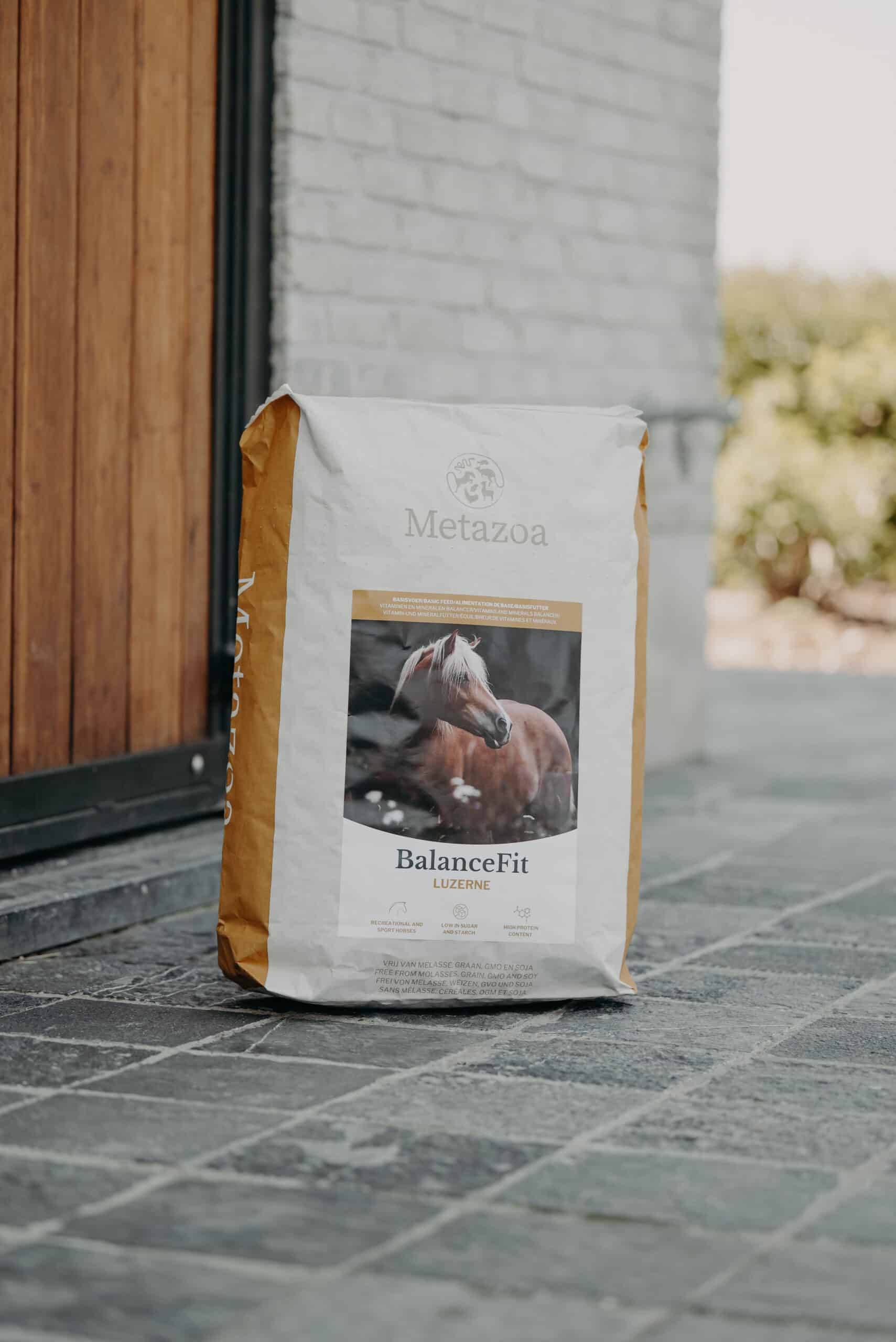 Metazoa | BalanceFit - Afbeelding 4