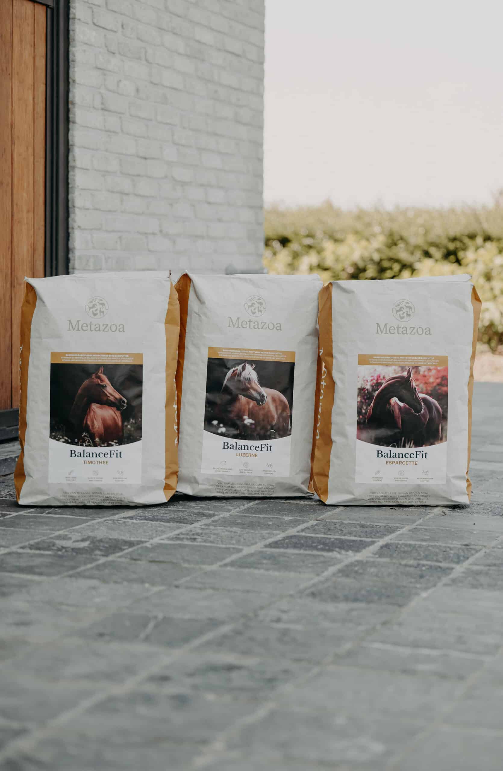 Metazoa | BalanceFit