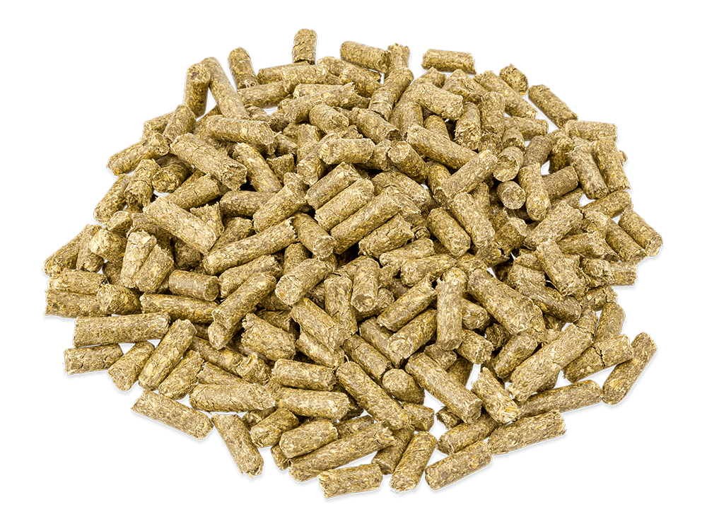 Metazoa DigestFit Esparcette, brok, paardenvoeding, voer voor paarden