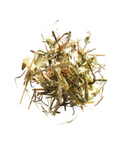 Agrobs grunhafer, paardenvoeding, gezondheid, orthomoleculair