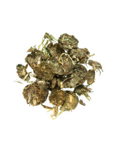 Agrobs Myo Protein Flakes, paardenvoeding, gezondheid, orthomoleculair, weidenbrok, eiwit