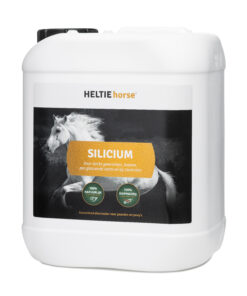 Alternative view of HELTIE Horse | Silicium