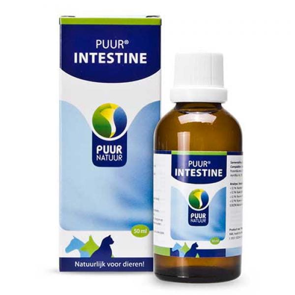 PUUR | Intestine