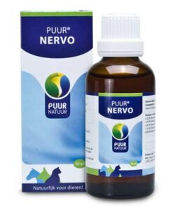 PUUR | Nervo