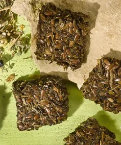 Okapi | Darm Oké Koekjes (buikje traktatie)