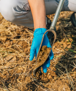 Bodemanalyse en weidebeheer advies