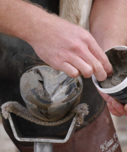 Alternative view of Unique-horn | Natural hoof clay
