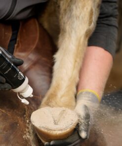 Alternative view of Unique-horn | Magic hoof powder