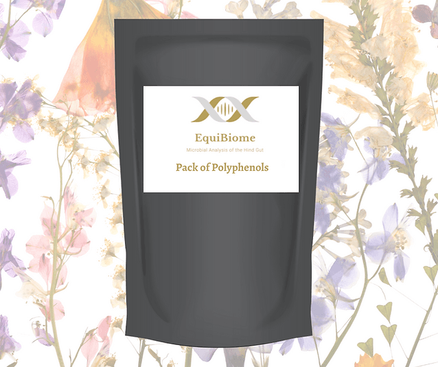 Equibiome | Pack of polyphenols