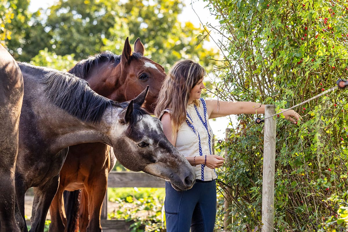 Jantine van Pure Horse voert de paarden in de paddock