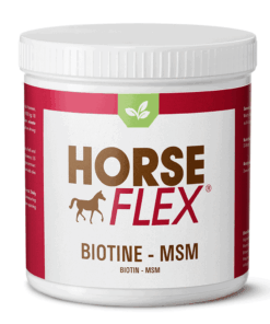 HorseFlex Biotine-MSM