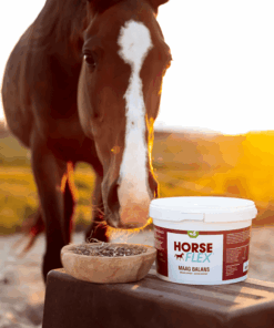 HorseFlex Maag Balans
