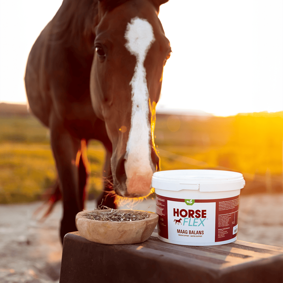 HorseFlex Maag Balans
