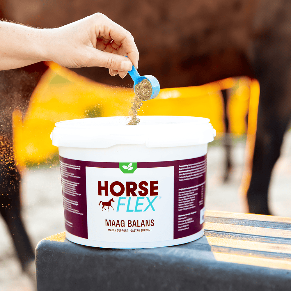 HorseFlex Maag Balans