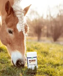 HorseFlex Glucose Support