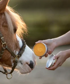 Laveos | Honey Salve