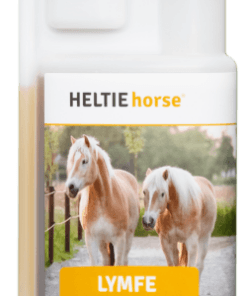 HELTIE horse Lymfe