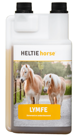 HELTIE horse Lymfe